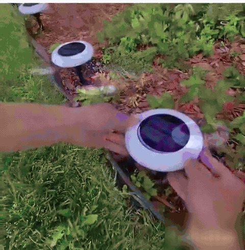 SOLAR LIGHTS